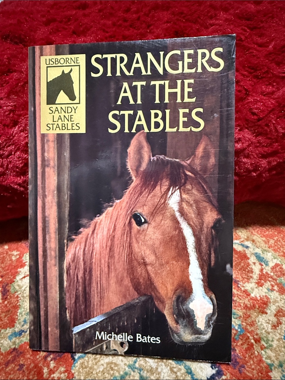 Stranger at the stables by Michelle Bates